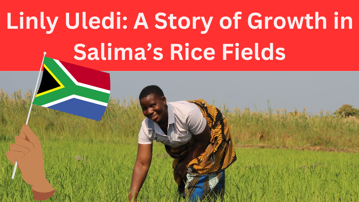 Linly Uledi: A Story of Transformation and Growth in Salima’s Rice Fields