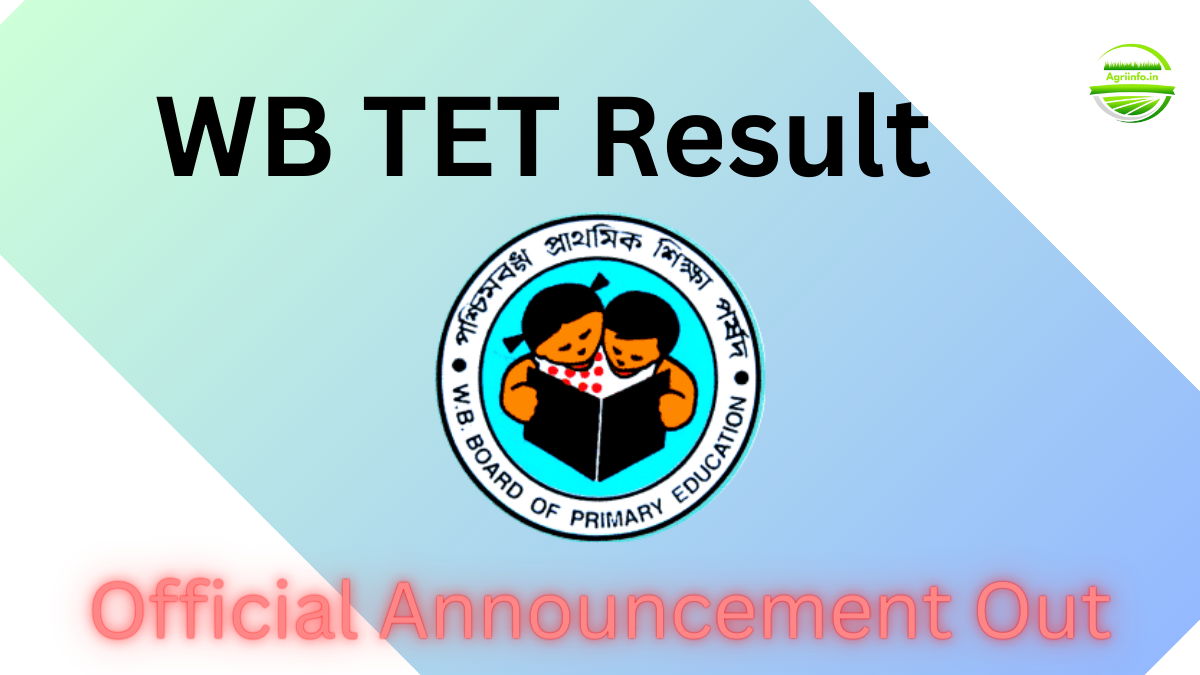 West Bengal TET Result 2025: Check Your Scores & Qualifying Status