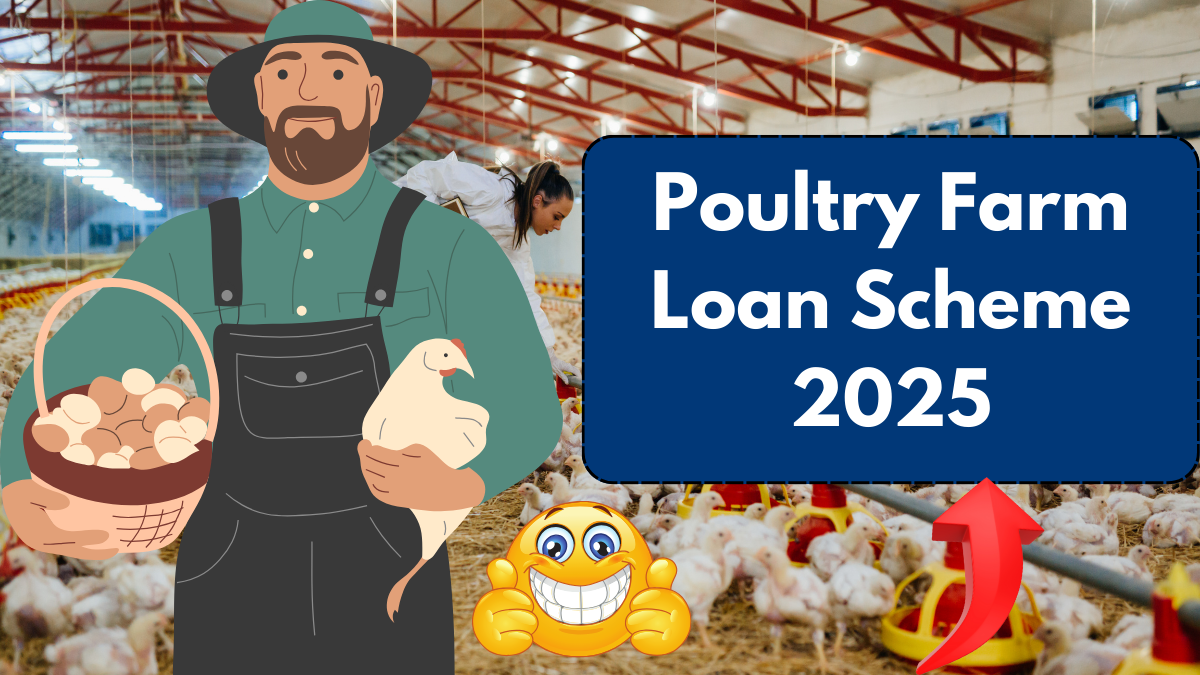 Poultry Farm Loan Scheme 2025: A Comprehensive Guide to Financial Assistance